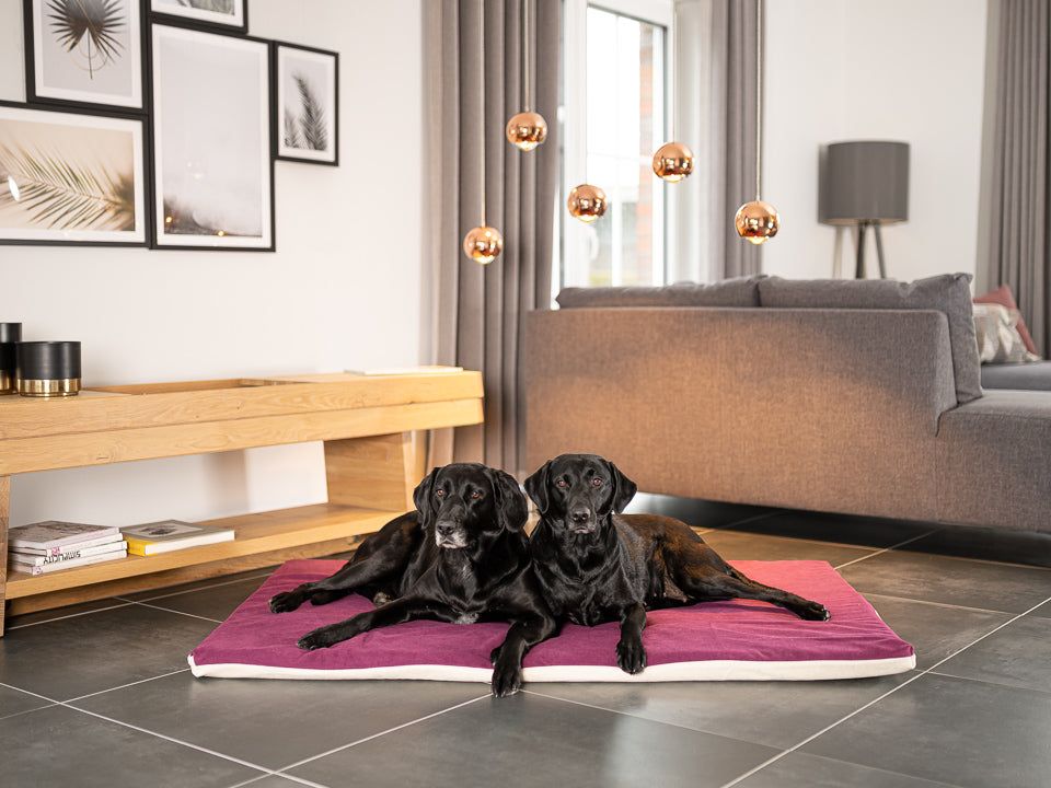 Hundemåtte JOKKMOKK Alltid