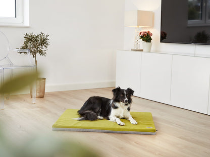 Hundemåtte JOKKMOKK Alltid