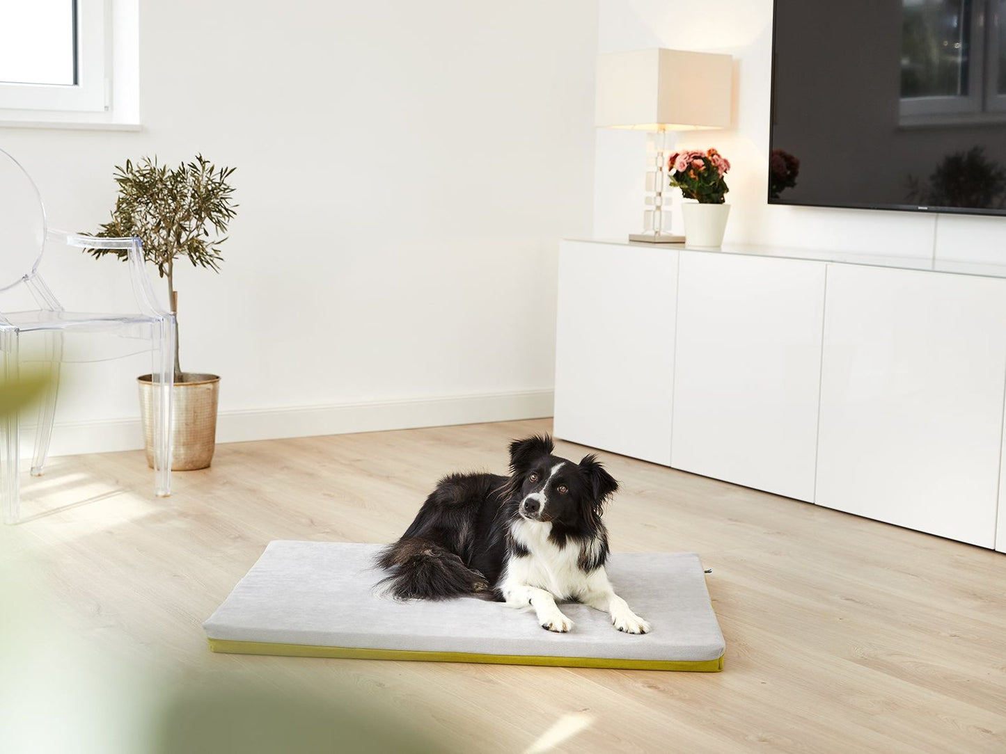 Hundemåtte JOKKMOKK Alltid