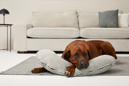 SCHMUSEHØRNCHEN Cord 