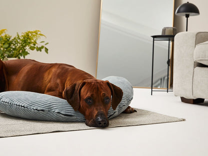 SCHMUSEHØRNCHEN Cord 