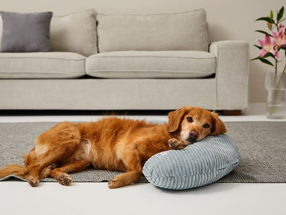 SCHMUSEHØRNCHEN Cord 