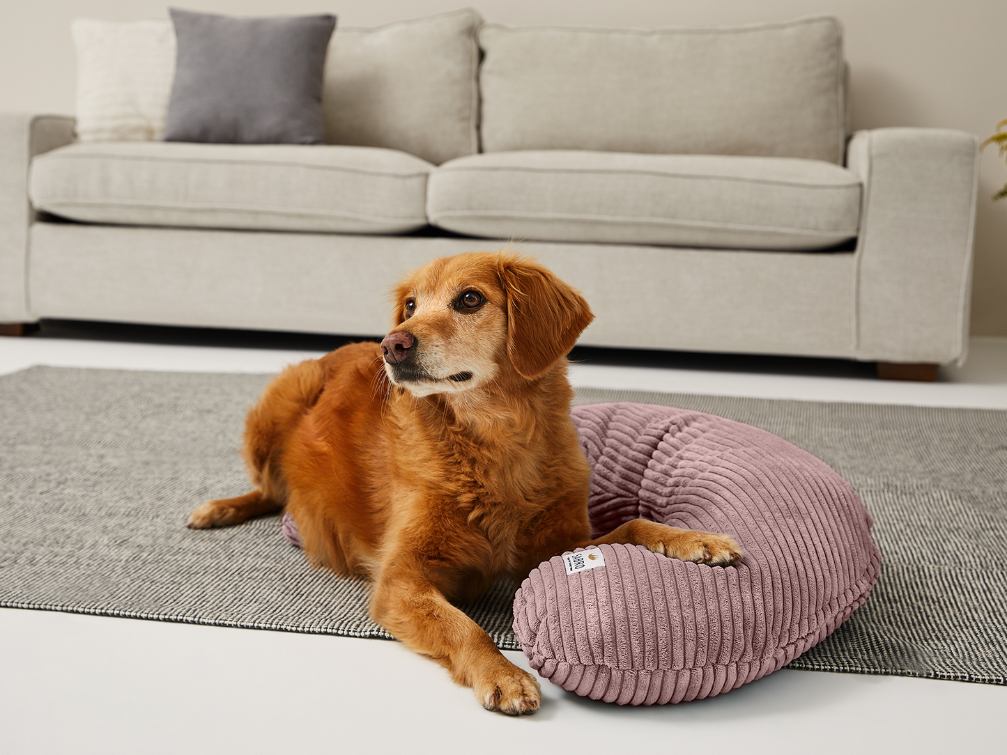 SCHMUSEHØRNCHEN Cord 