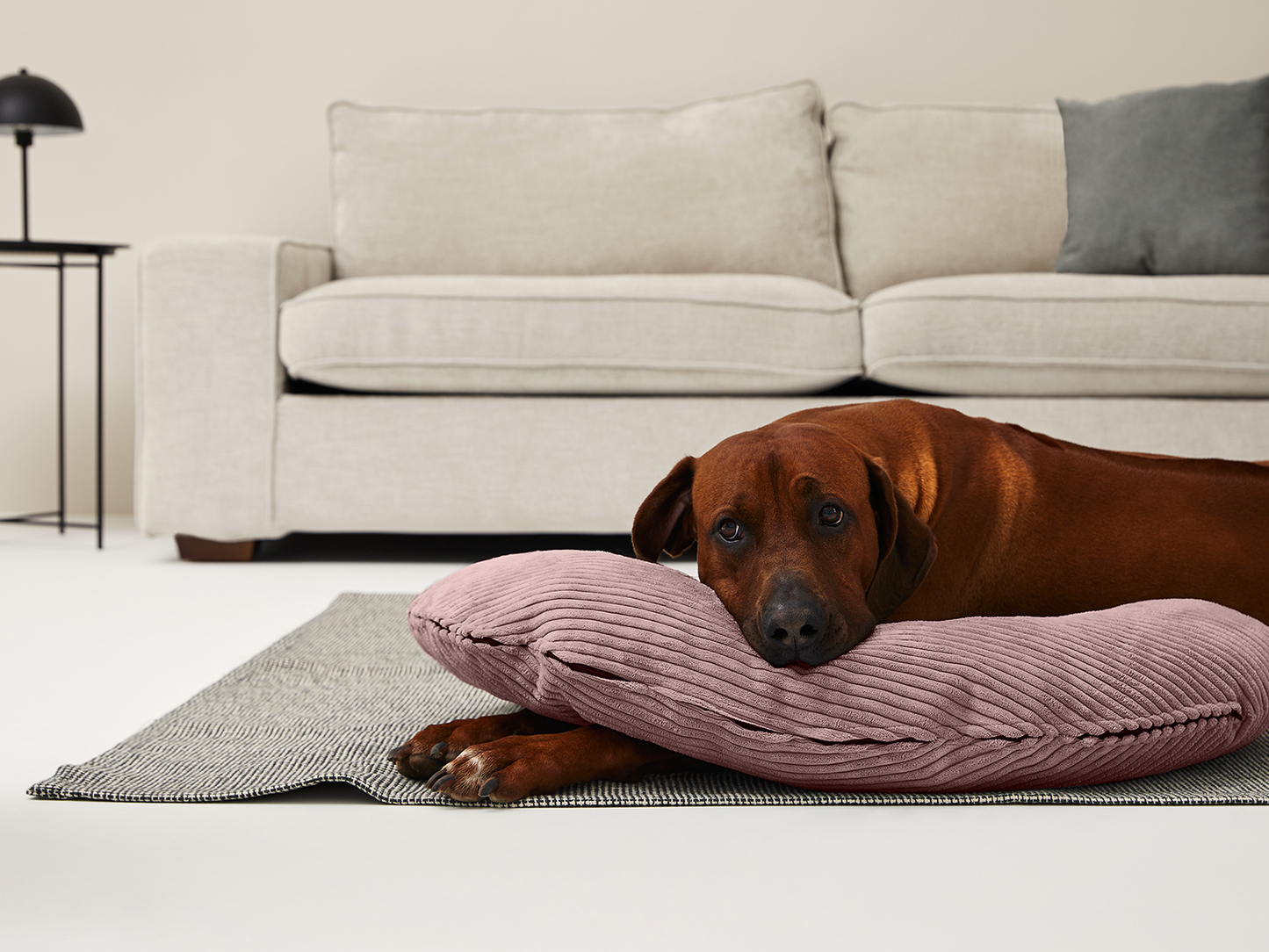 SCHMUSEHØRNCHEN Cord 