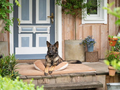 Hundemåtte JOKKMOKK Alltid