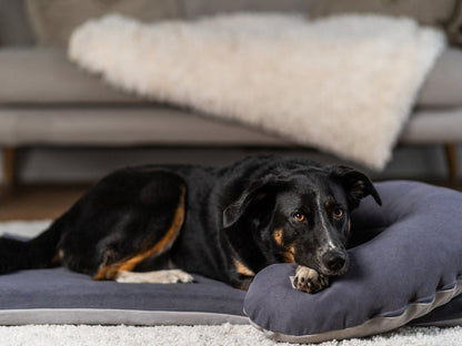 SCHMUSEHÖRNCHEN Alltid