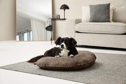 SCHMUSEHØRNCHEN Cord 