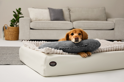 SCHMUSEHØRNCHEN Cord 