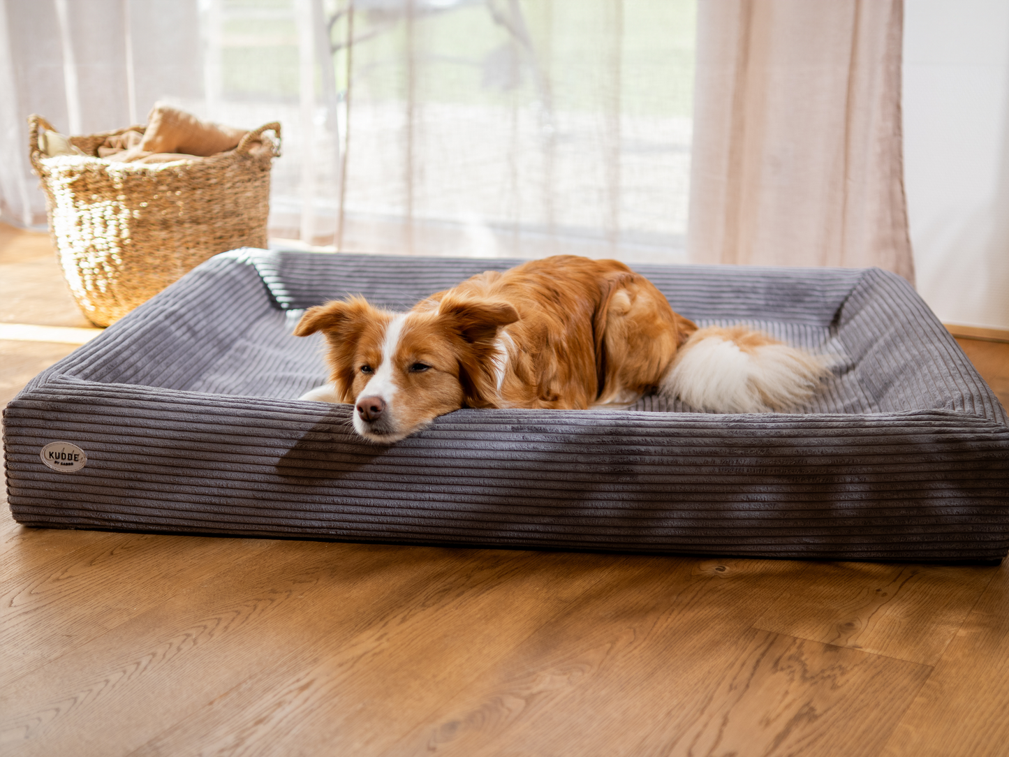 Hundeseng KUDDE Cord 