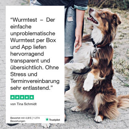 Diarré test hund 