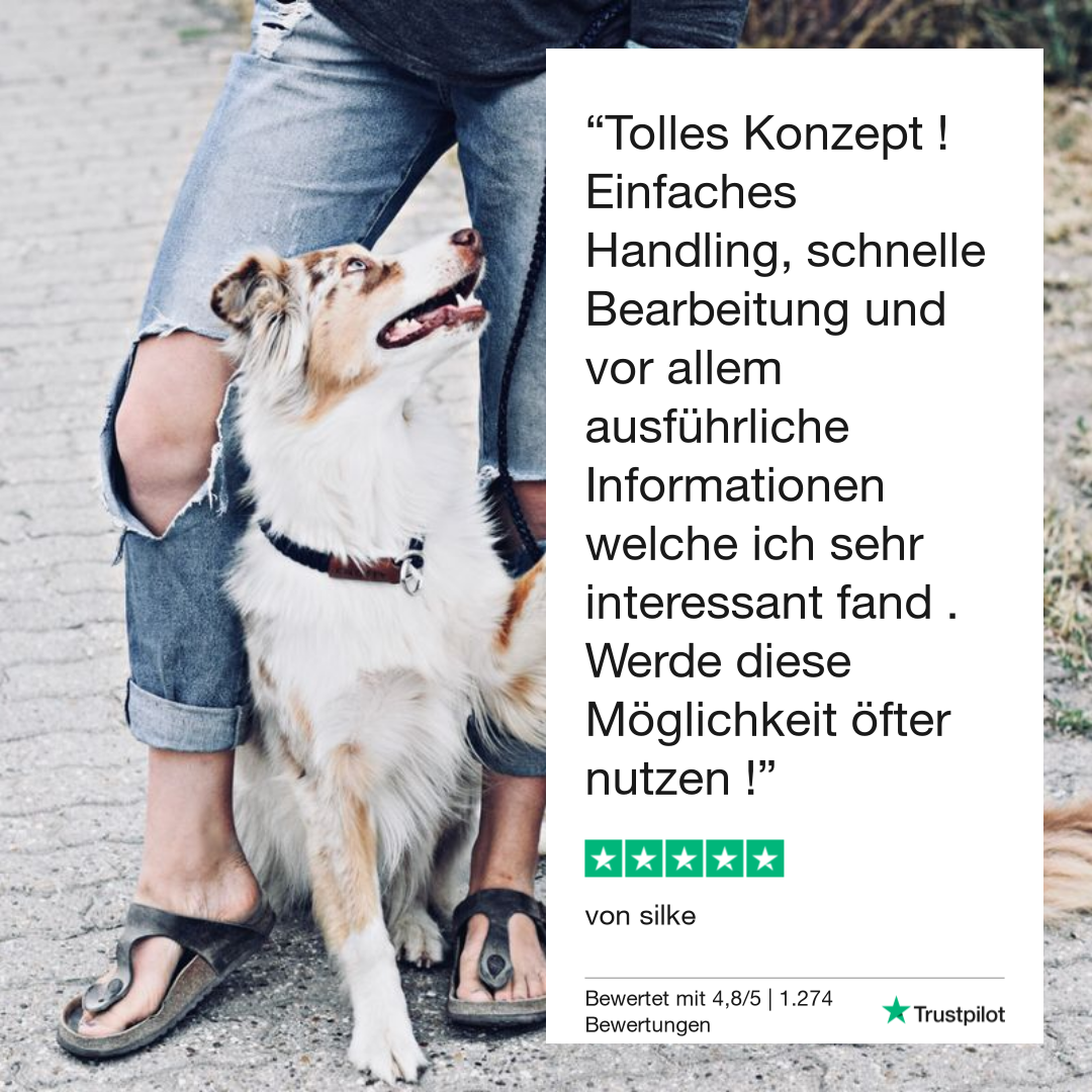 Giardiatest hund 