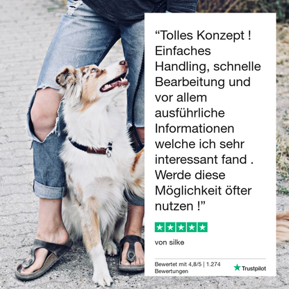 Giardiatest hund 