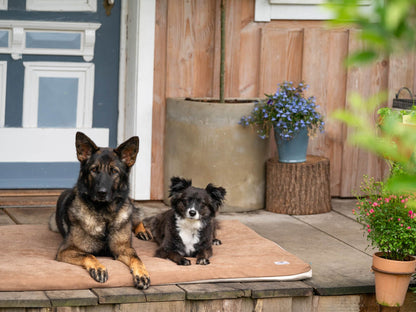 Hundemåtte JOKKMOKK Alltid