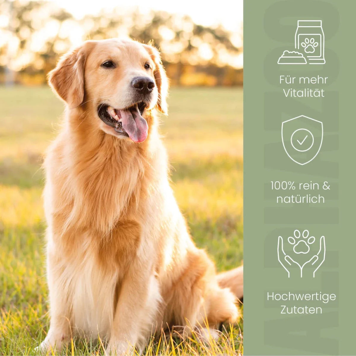Alpha-Immun Foderolie til hunde