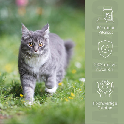 Alpha-Immun fodertilskudsolie til katte