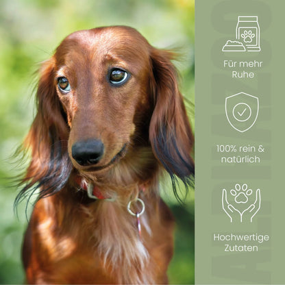 Alpha-Zegg Foderolie til hunde
