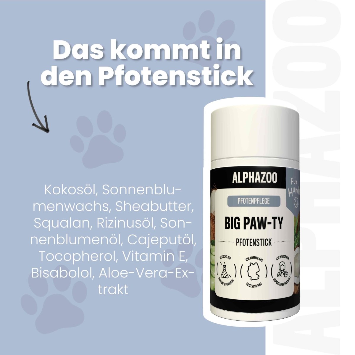 Big Paw-ty Potepleje til hunde