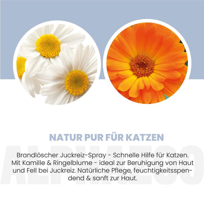 Brandslukker Anti-kløe spray til katte