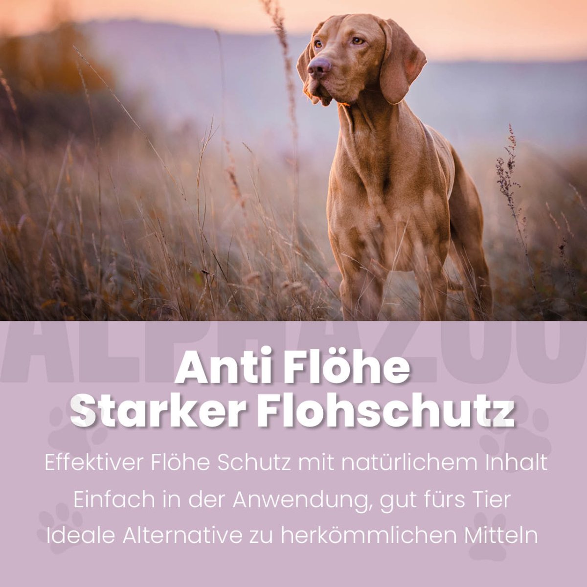 ByeByeFloh loppespray til hunde