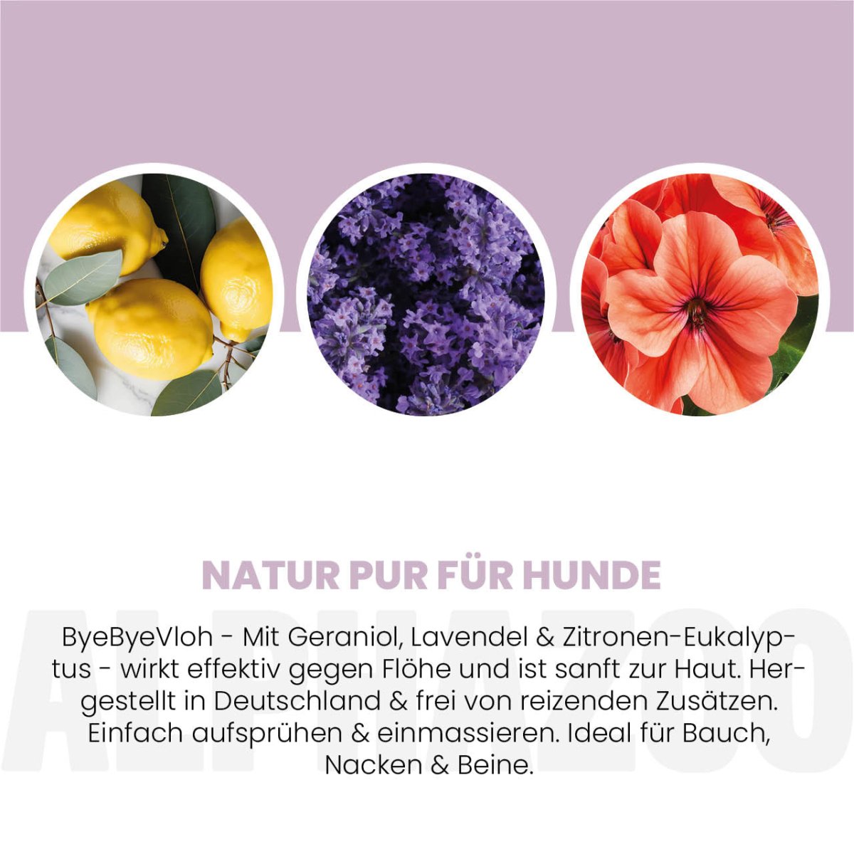 ByeByeFloh loppespray til hunde