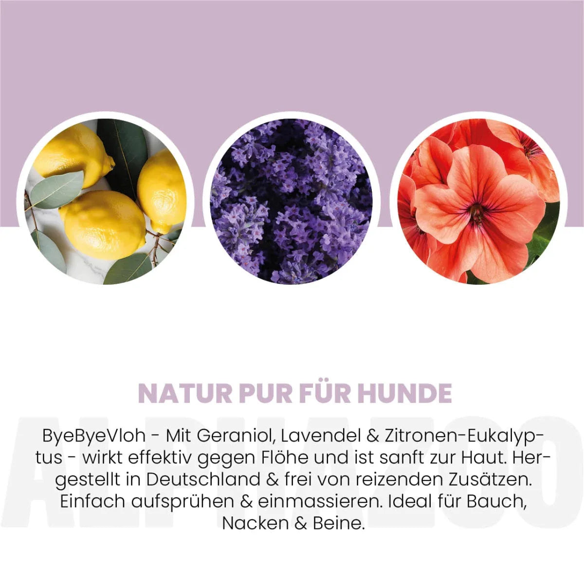 ByeByeVloh Spot-On til hunde