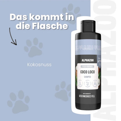 Coco Loco shampoo til hunde
