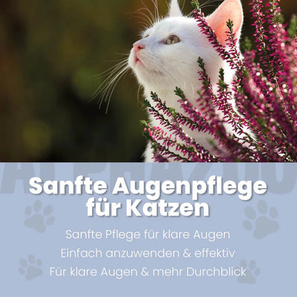 Durchblick Øjenpleje til katte