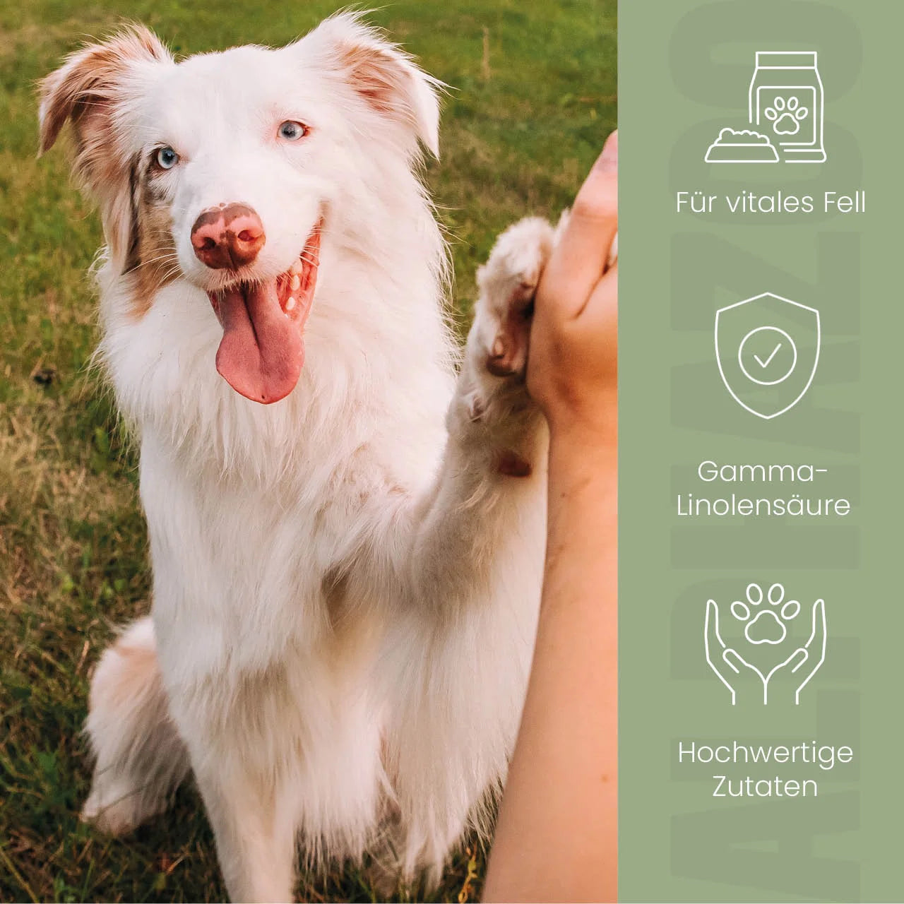 Fellliebe Foderolie til hunde