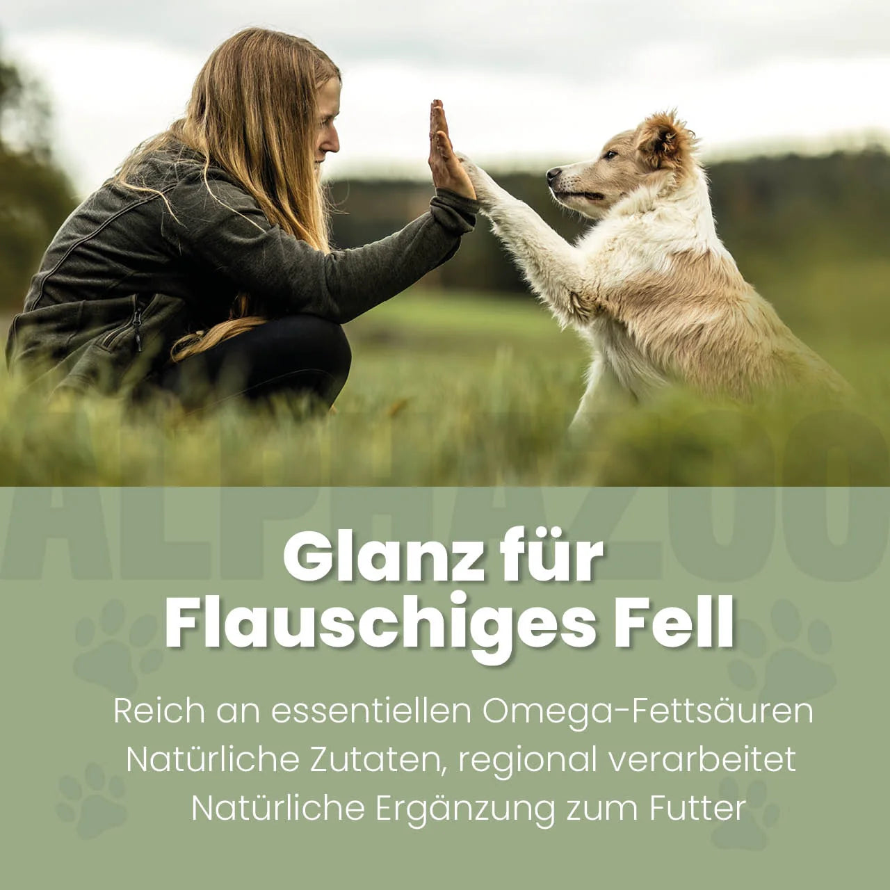 Fellliebe Foderolie til hunde