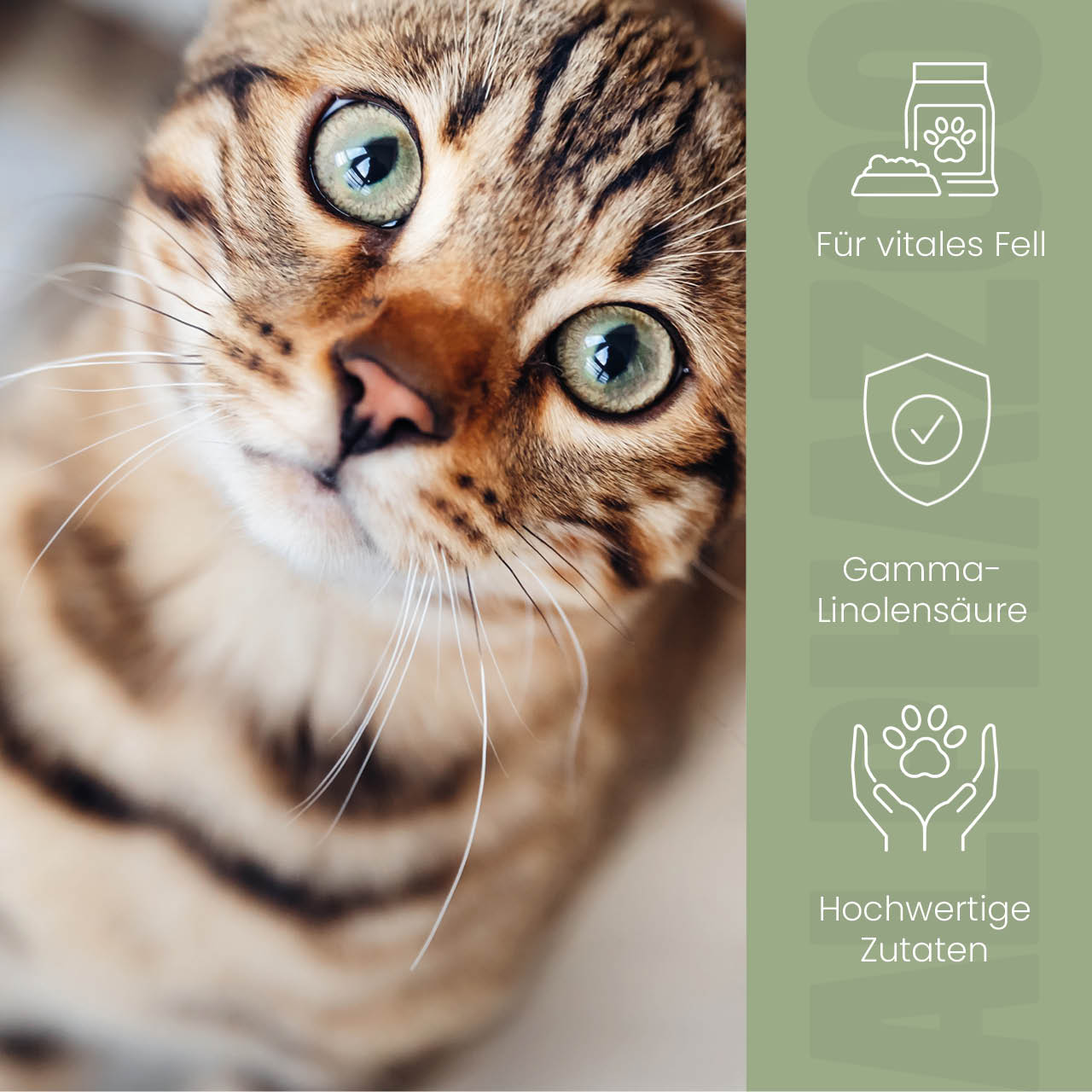 Fellliebe foderolie til katte