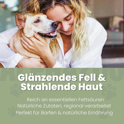 Hampolie til hunde