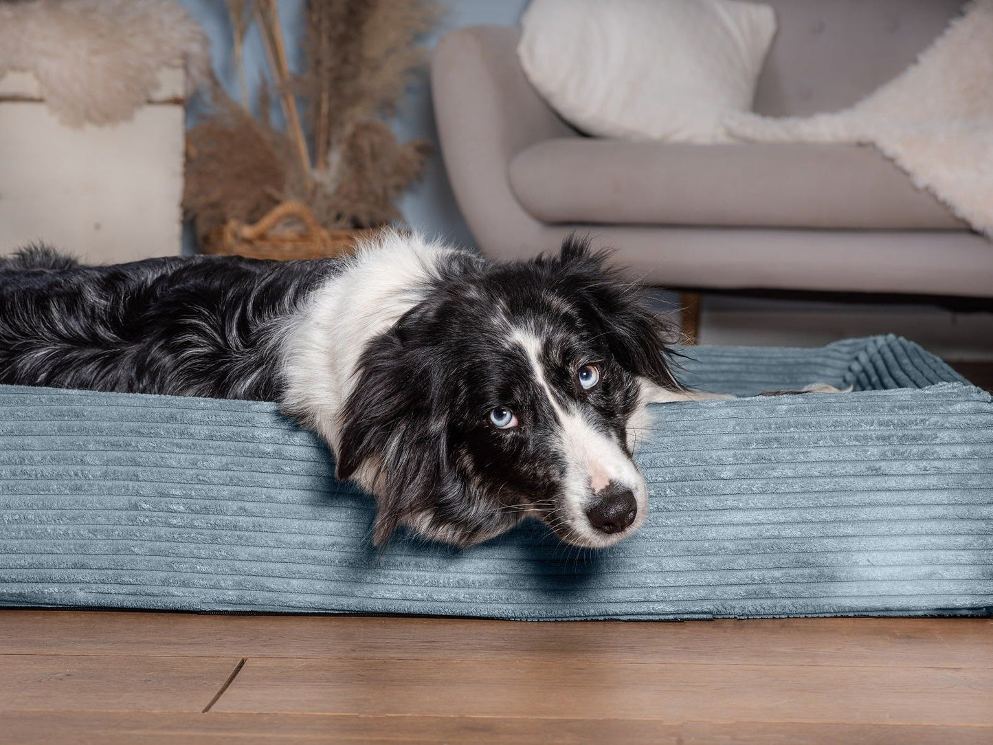 Hundeseng KUDDE Cord 