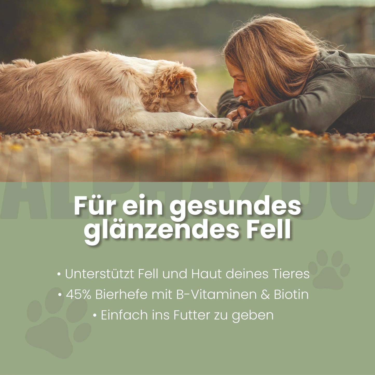 Ølgærpiller til hunde