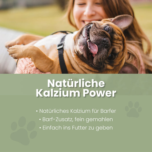 Æggeskallepulver til hunde