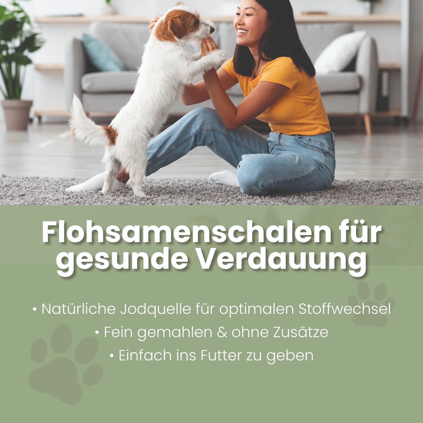 Loppefrøskaller formalet til hunde