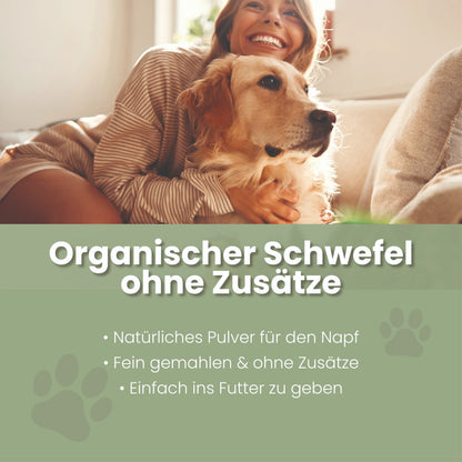 MSM-pulver til hunde