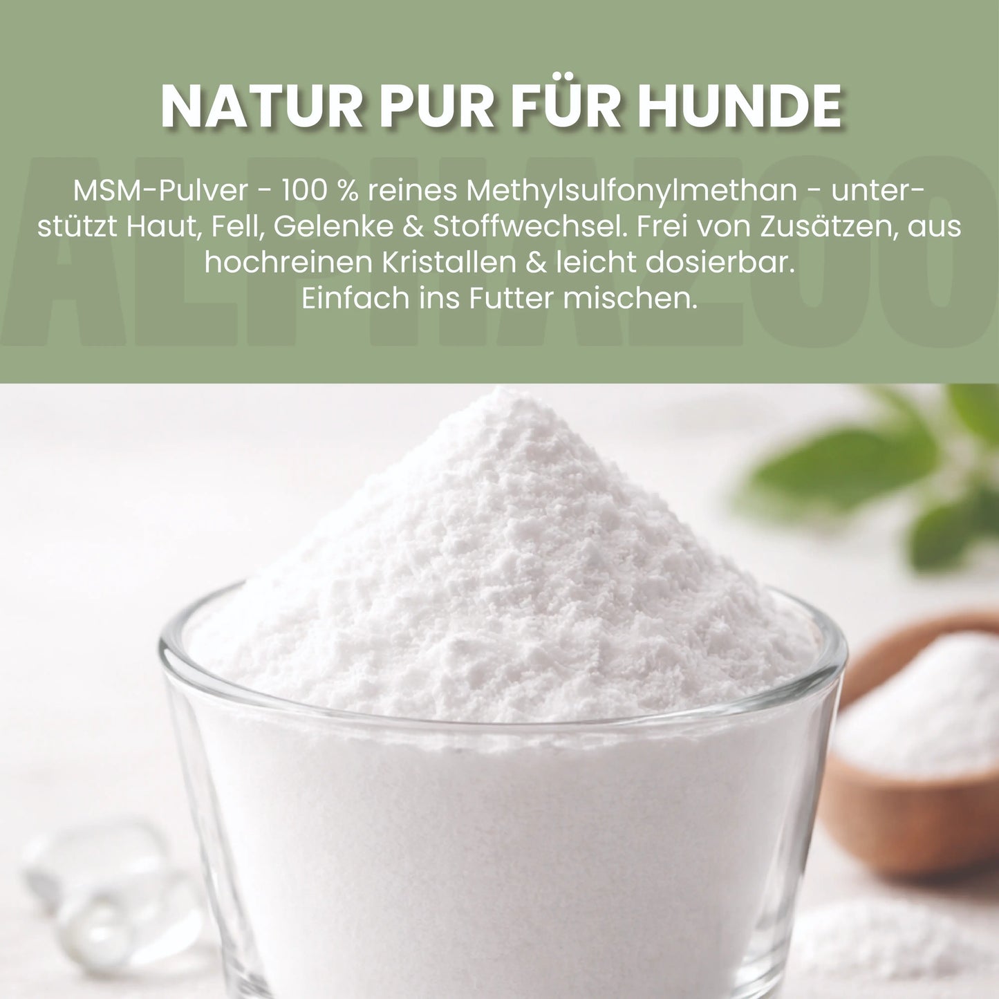MSM-pulver til hunde