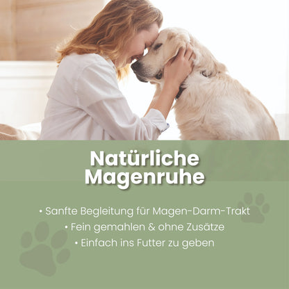 Elmebarkspulver til hunde