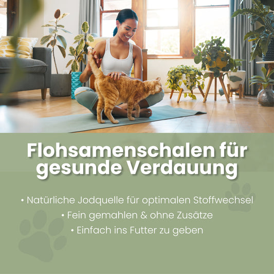Loppefrøskaller til katte