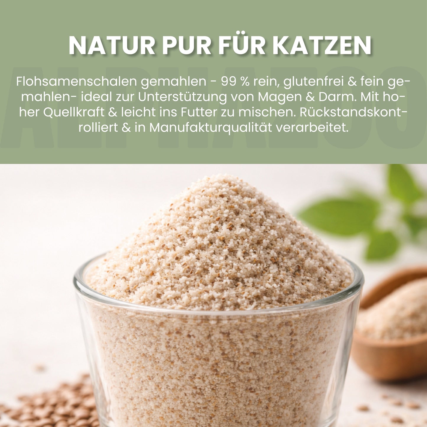 Loppefrøskaller til katte