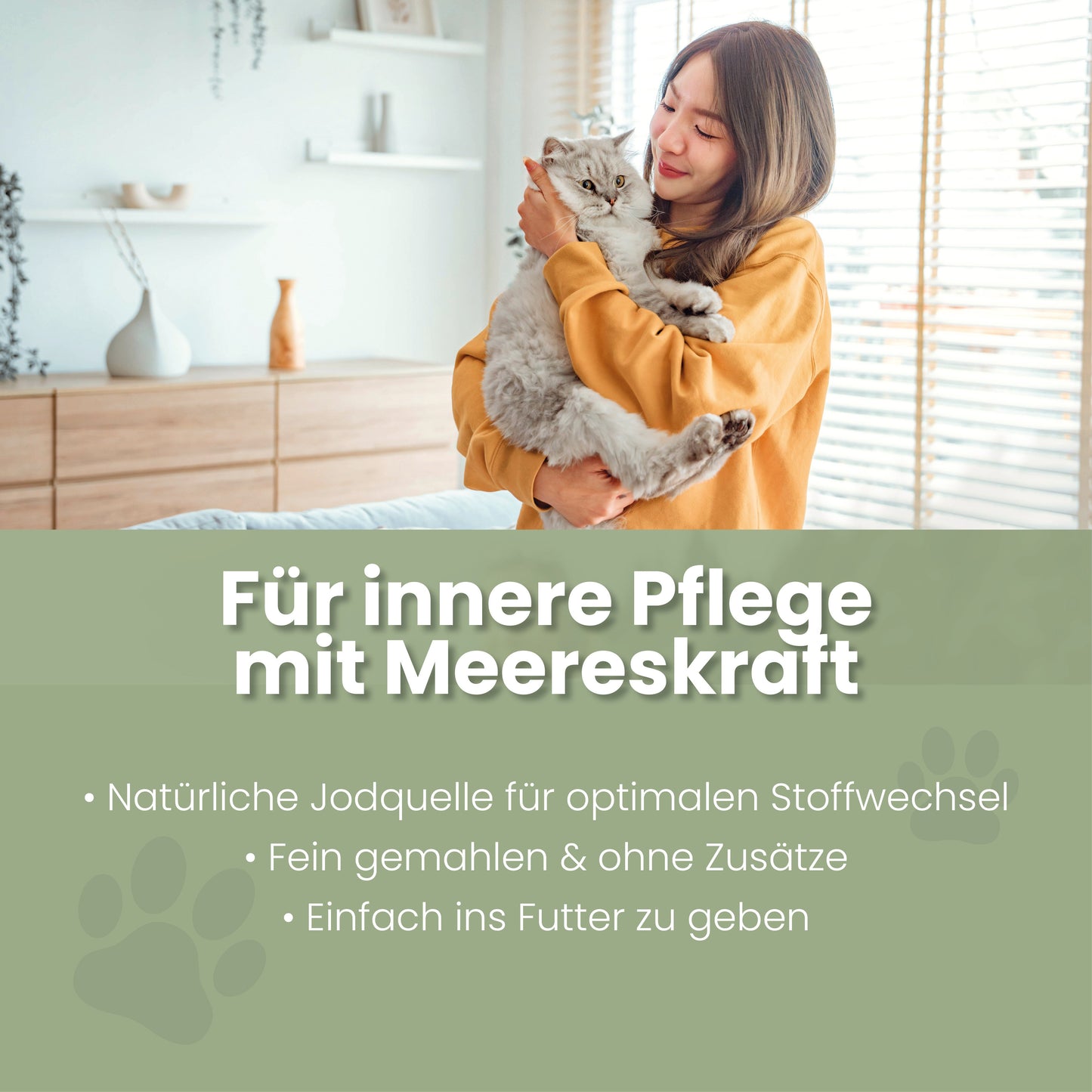 Tangmel til katte