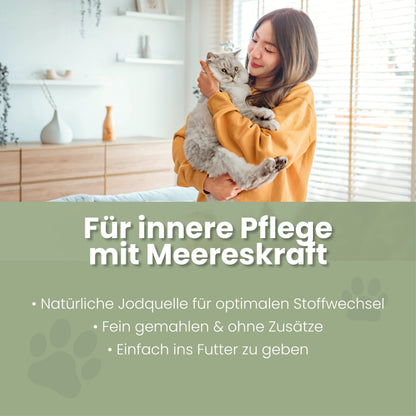 Tangmel til katte