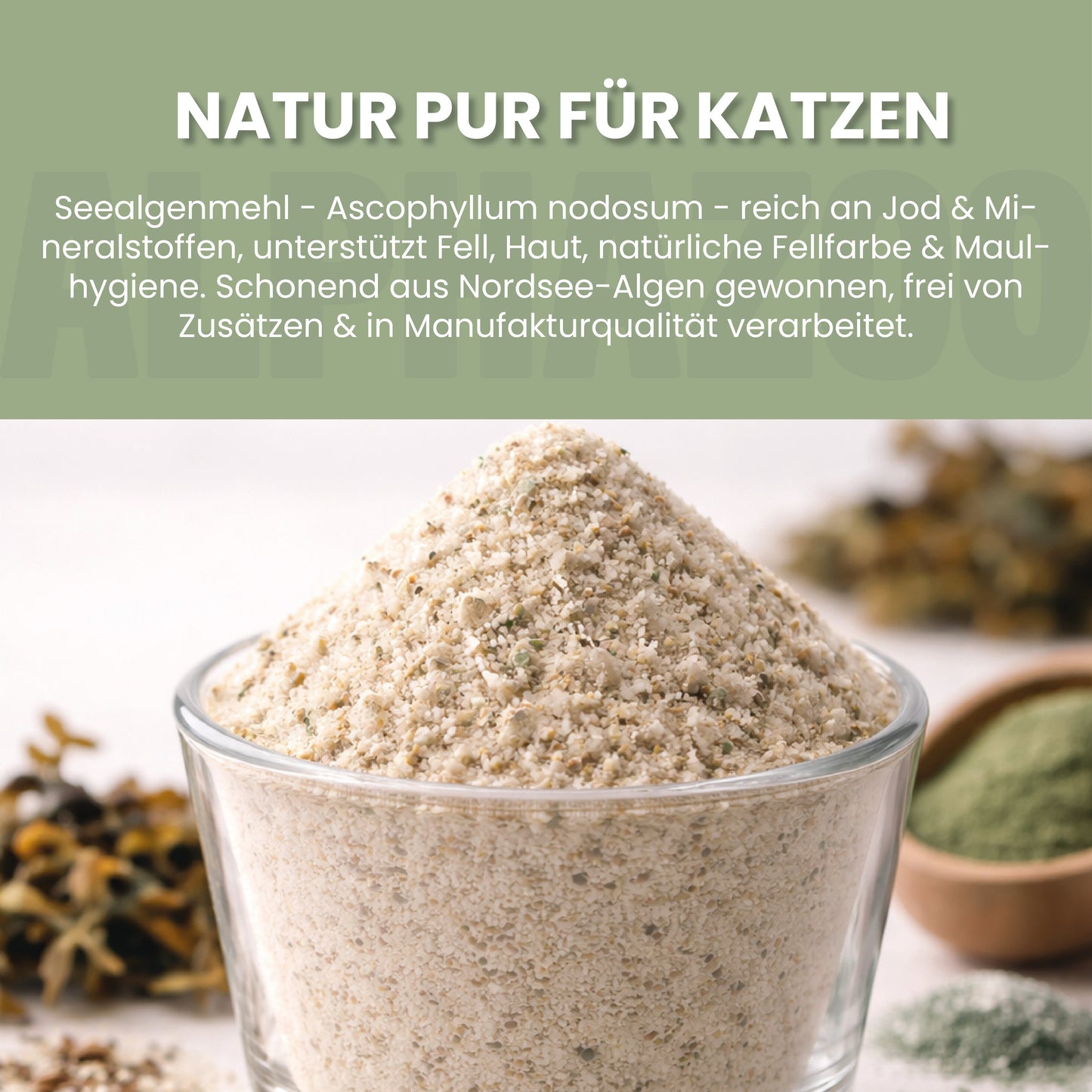 Tangmel til katte