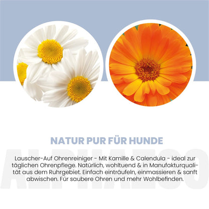 Lauscher-Auf ørerens til hunde