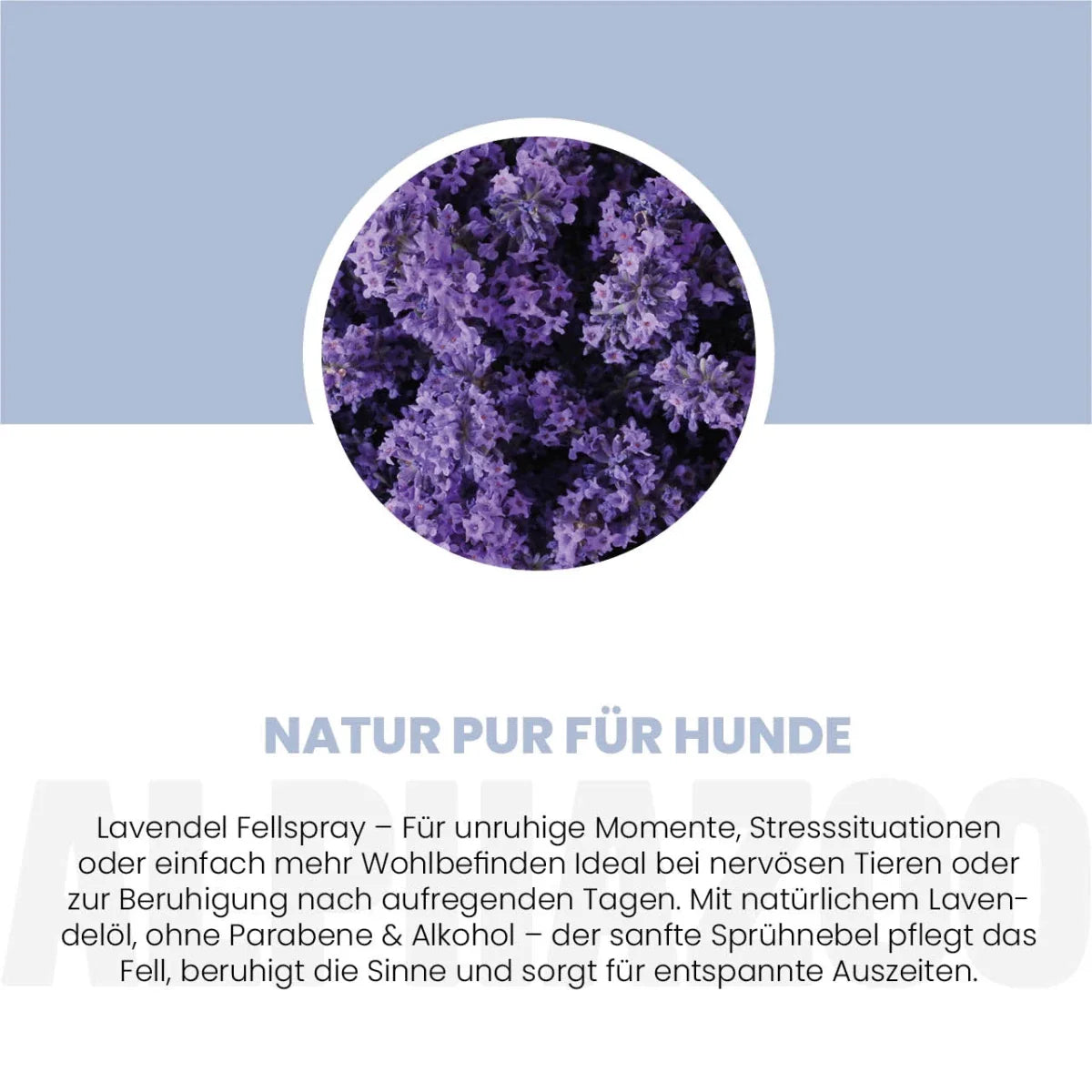 Lavellness pelsplejespray til hunde
