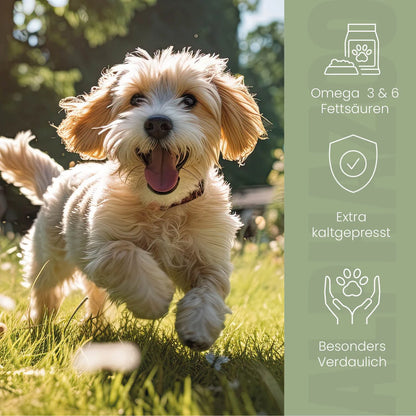 Hørfrøolie til hunde