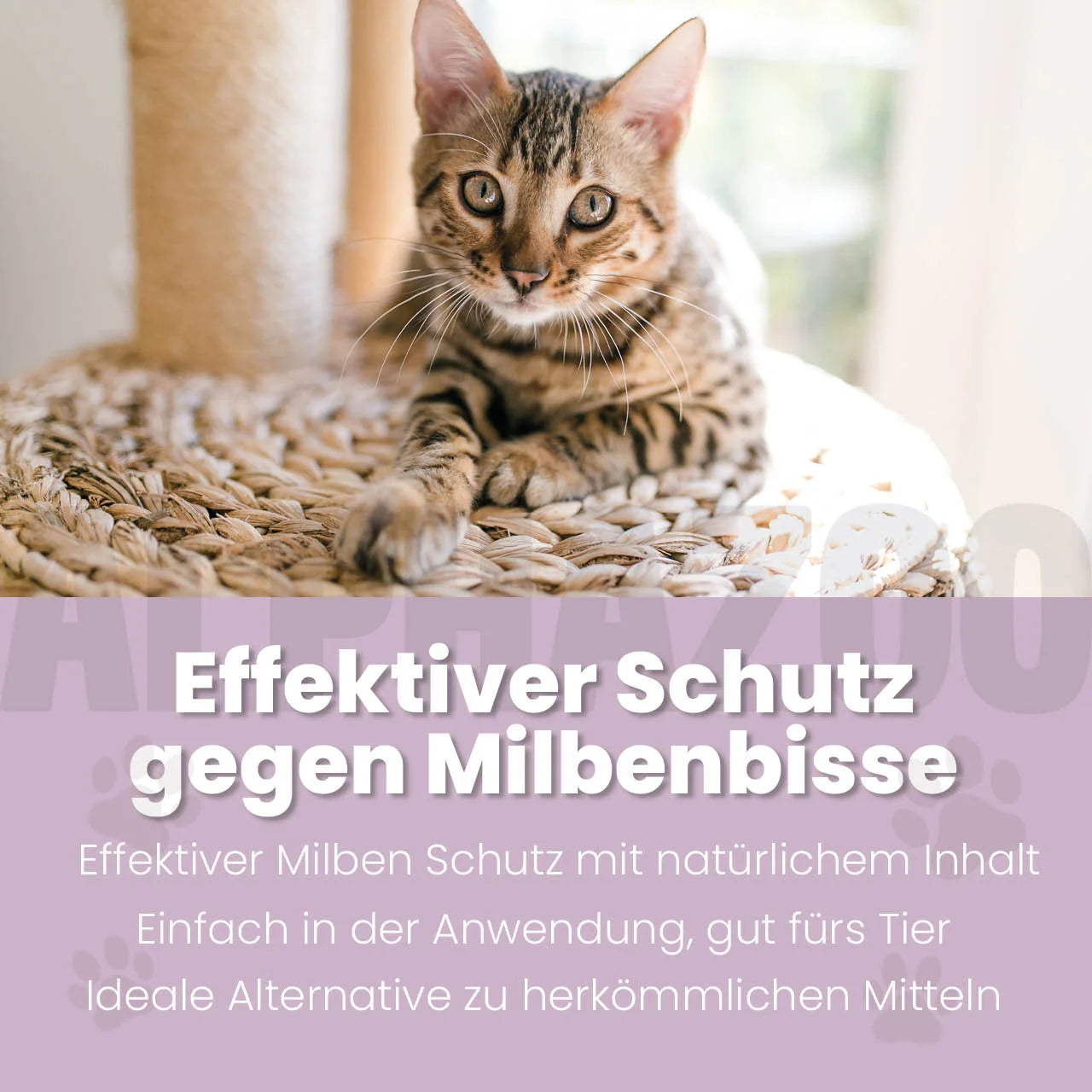 MilbHunter Spot-On til katte