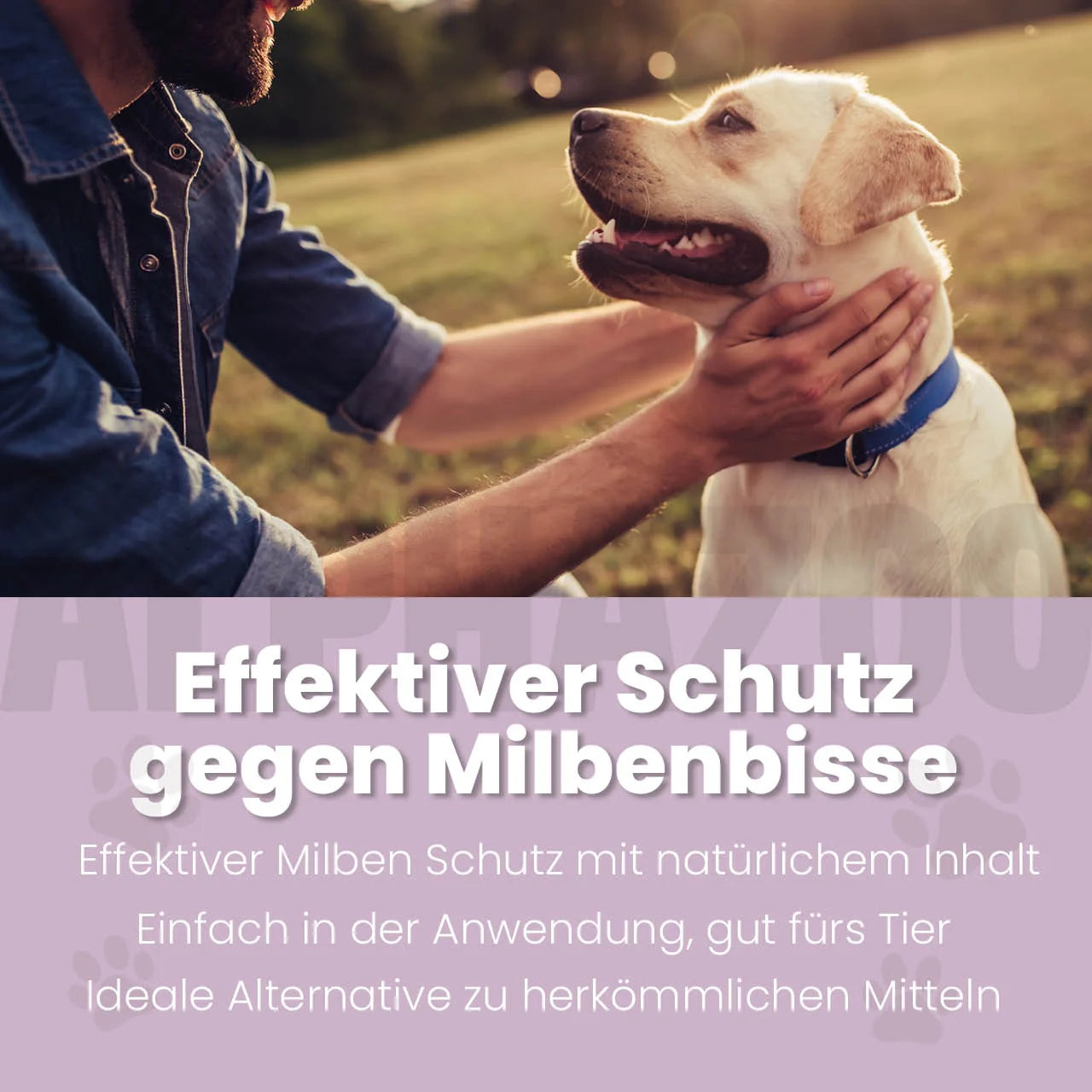 MilbHunter Spot-On til hunde