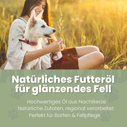 Nachtlysolie til hunde
