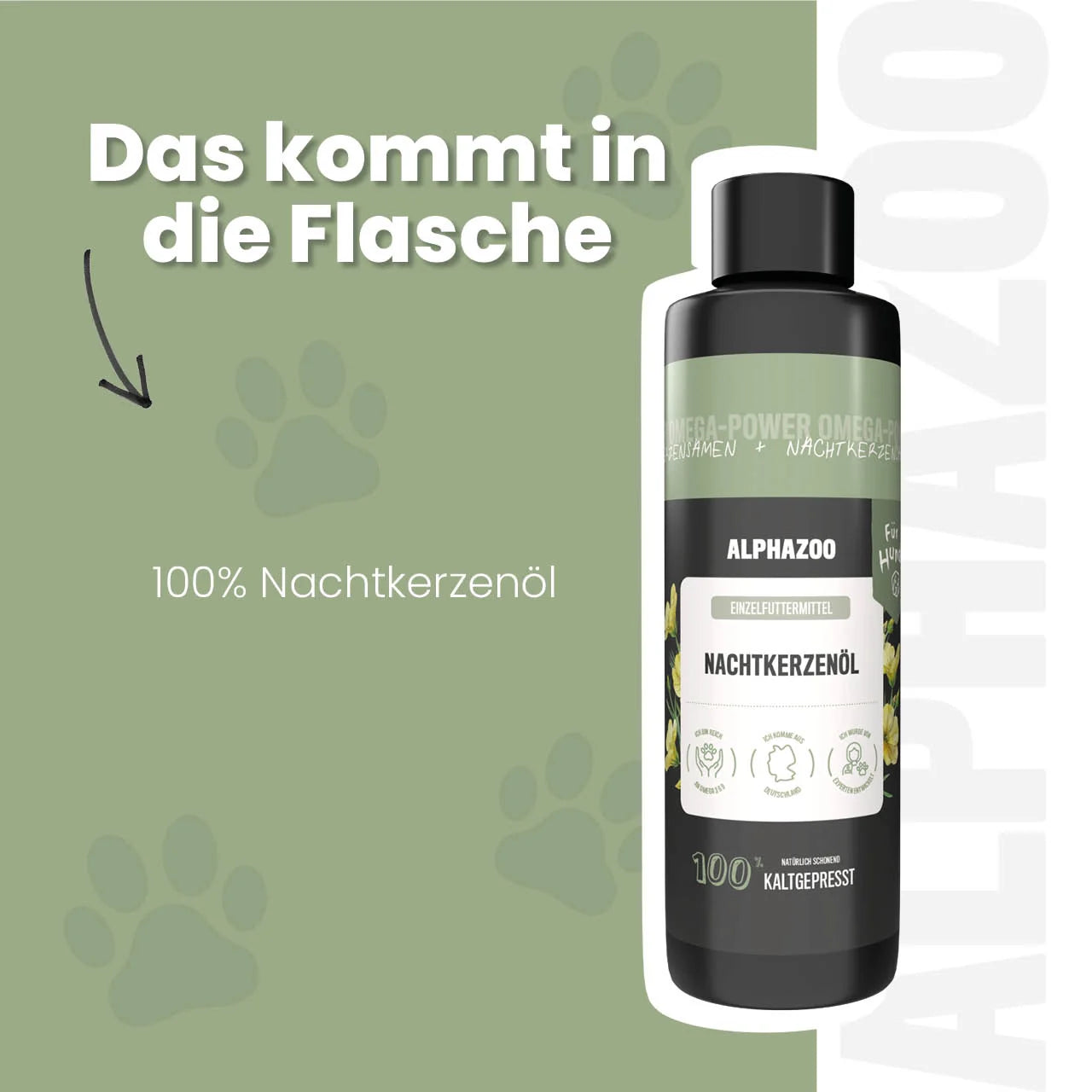Nachtlysolie til hunde